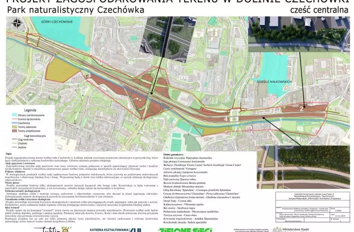 Czechówka centralna