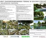 Czechówka wschodnia