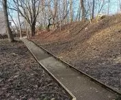 Park Saski – Dolina Czechówki