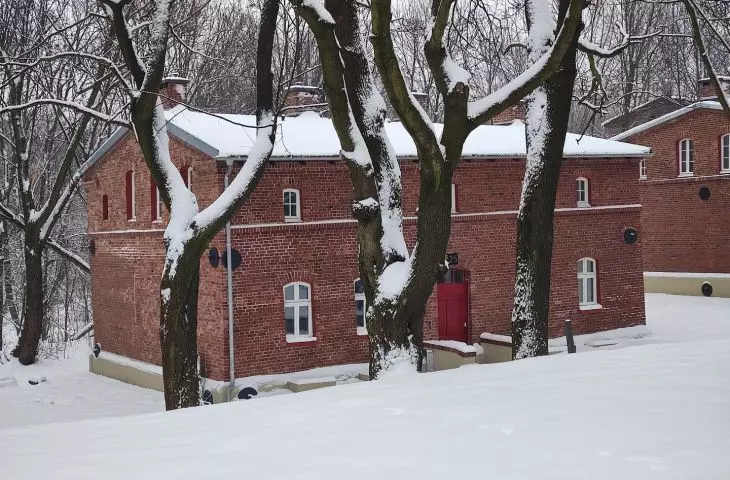 Building among the trees
