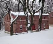 Building among the trees