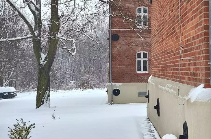 A tree among the houses