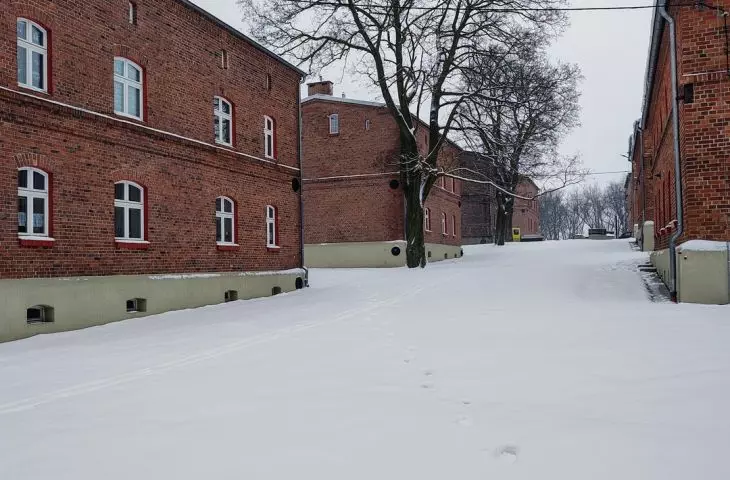 Main axis