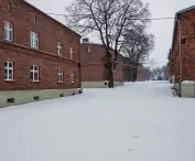 Main axis