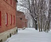 The last houses on the side of the forest