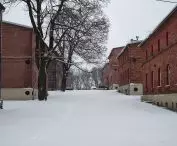 Space between houses