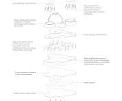 axonometric diagram of the structure 