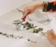 Justyna Mazur in print