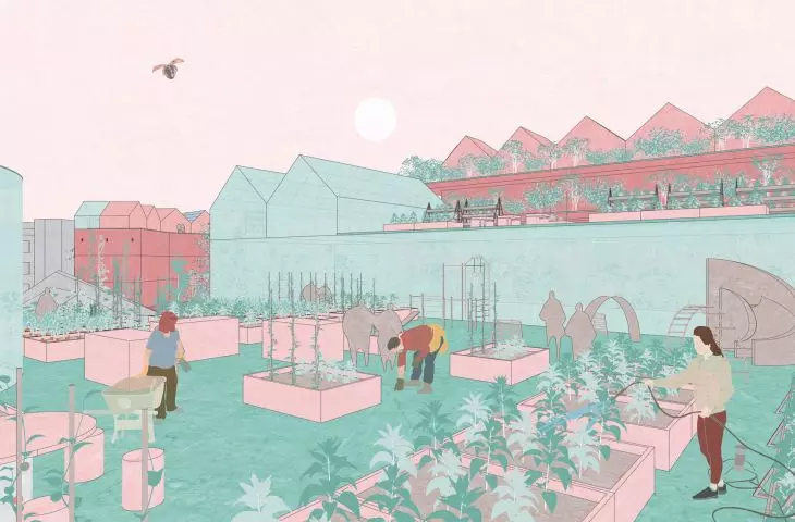 Chrzanow - design of market hall with greenhouse and fungarium, view of green roof and greenhouses