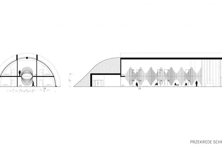 przekroje