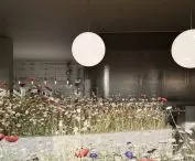 wizualizacja