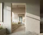 visualization