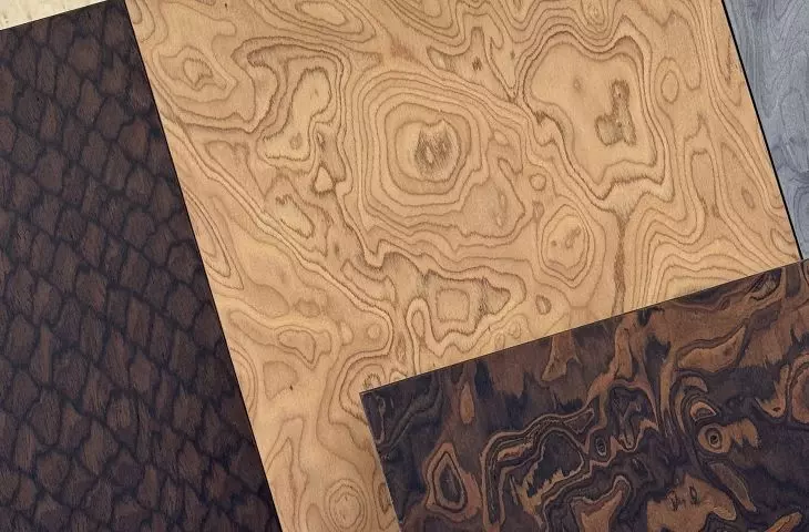 Wide selection of veneers from Italian manufacturer ALPI