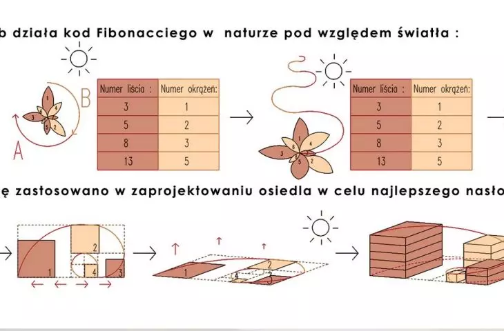zasada projektowa w porównaniu do zasad natury