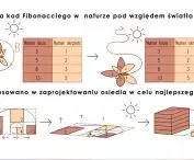 zasada projektowa w porównaniu do zasad natury