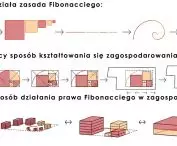 schematy uzupełniające