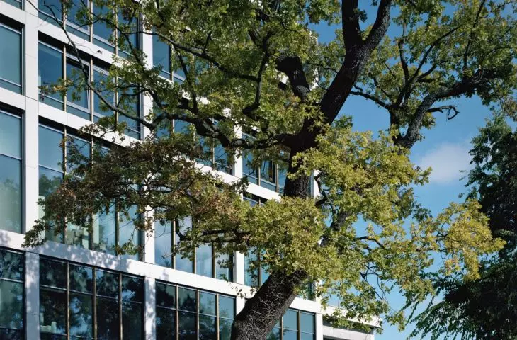 Corvinus Gellért Campus in Budapest