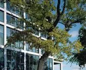 Kampus Corvinus Gellért w Budapeszcie