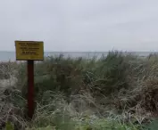 Screenshot from Google Street View
