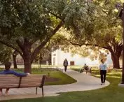 Rewitalizacji przestrzeni zewnętrznej przy Blanton Museum of Art na Uniwersytecie Teksańskim w Austin
