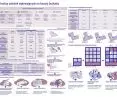 Nagroda Główna, proj.: Nicoletta Kołodziej, Katarzyna Suchan