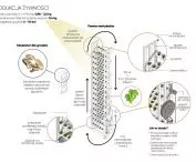 Wyróżnienie, proj.: Kacper Żak, Patryk Tatara