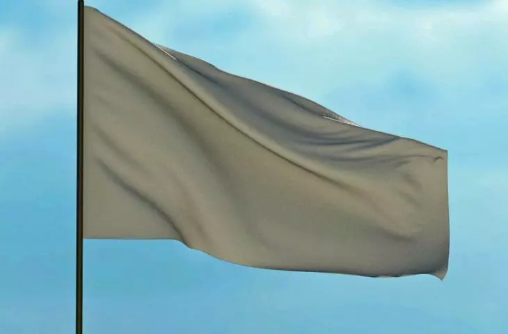 flaga z zanikającym logo