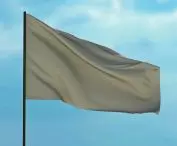 flag with fading logo