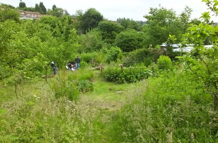 St. Anne's Community Orchard in Nottinghamshire 