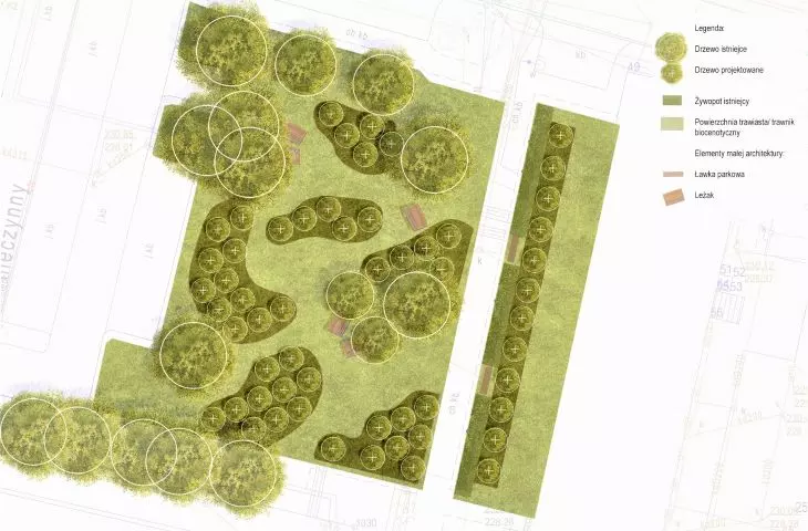 Project of the municipal orchard at 31 Jasna Street in Gliwice