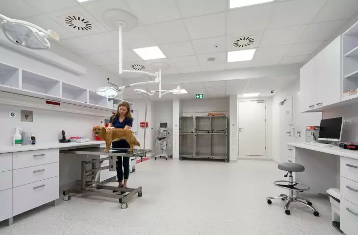 Ecophon at Veterio clinic