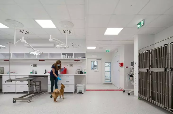 Ecophon w klinice Veterio
