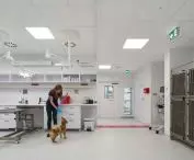 Ecophon at Veterio clinic