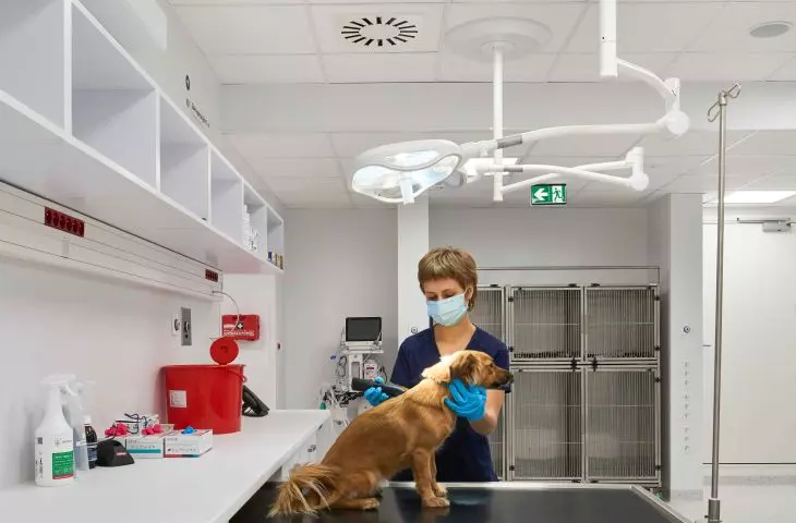 Ecophon at Veterio clinic