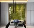 Green moss walls and vertical gardens. A space bathed in greenery