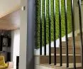Green moss walls and vertical gardens. A space bathed in greenery