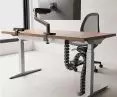 Filex products