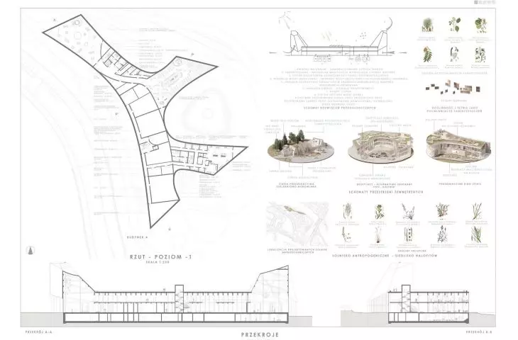 plan level -1, sections