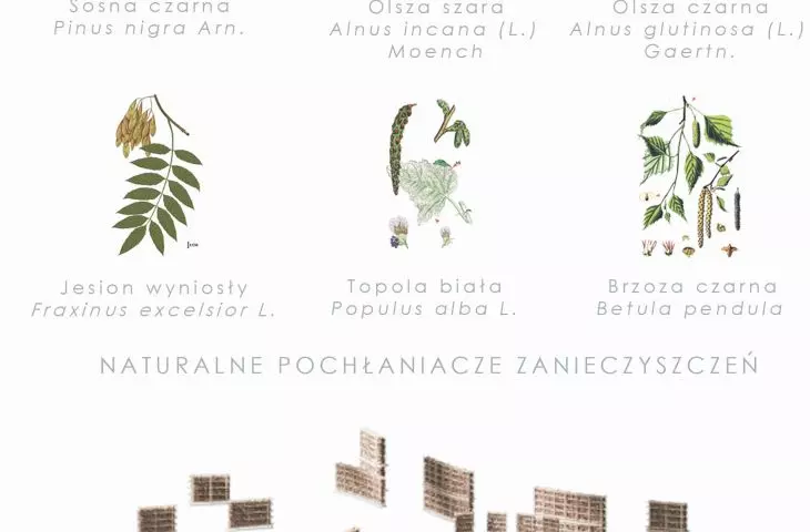 roślinność i tężnie jako pochłaniacze zanieczyszczeń