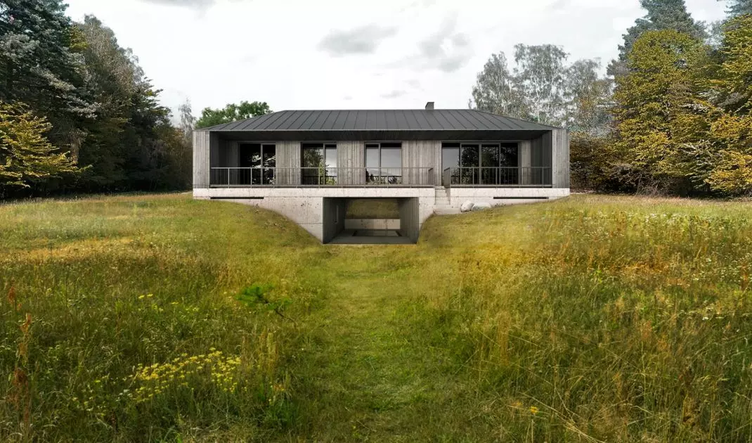 The plot is surrounded by forest