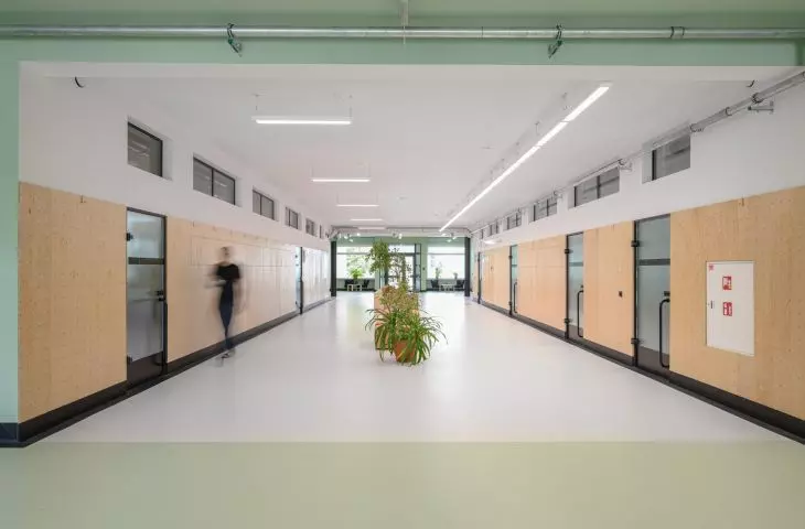 Termomodernizacja szkoły podstawowej w Domaniowie