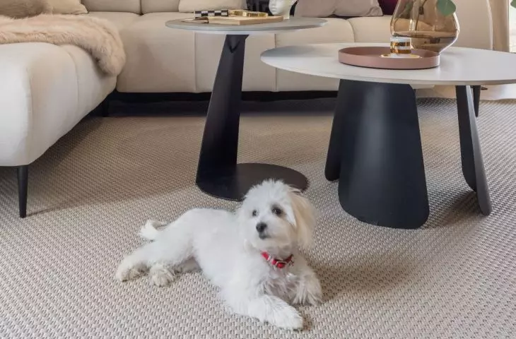 In the lounge area you will find a beige corner sofa