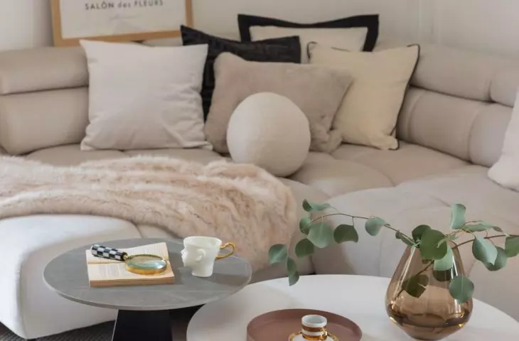 Next to the sofa stood designer coffee tables with organic shapes