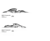 BEEAH headquarters in Sharjah, United Arab Emirates - longitudinal section 
