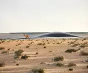 BEEAH headquarters in Sharjah, United Arab Emirates