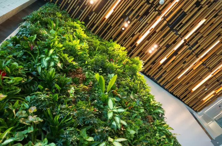 Can a green wall compensate for a lawn?