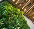 Can a green wall compensate for a lawn?
