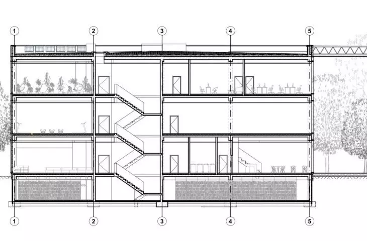 section