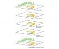justification for the shape of the building