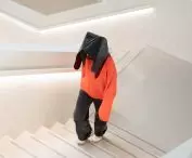 Kapturek